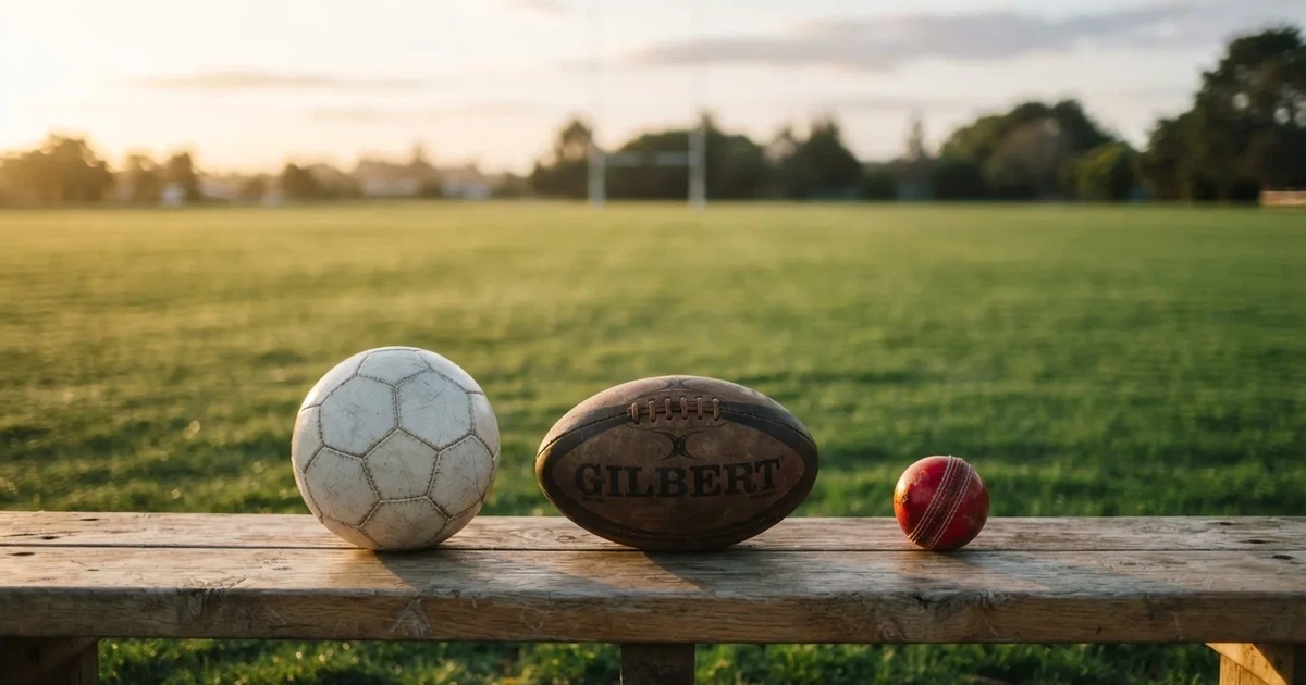 Three balls of different kinds side by side on a wooden bench