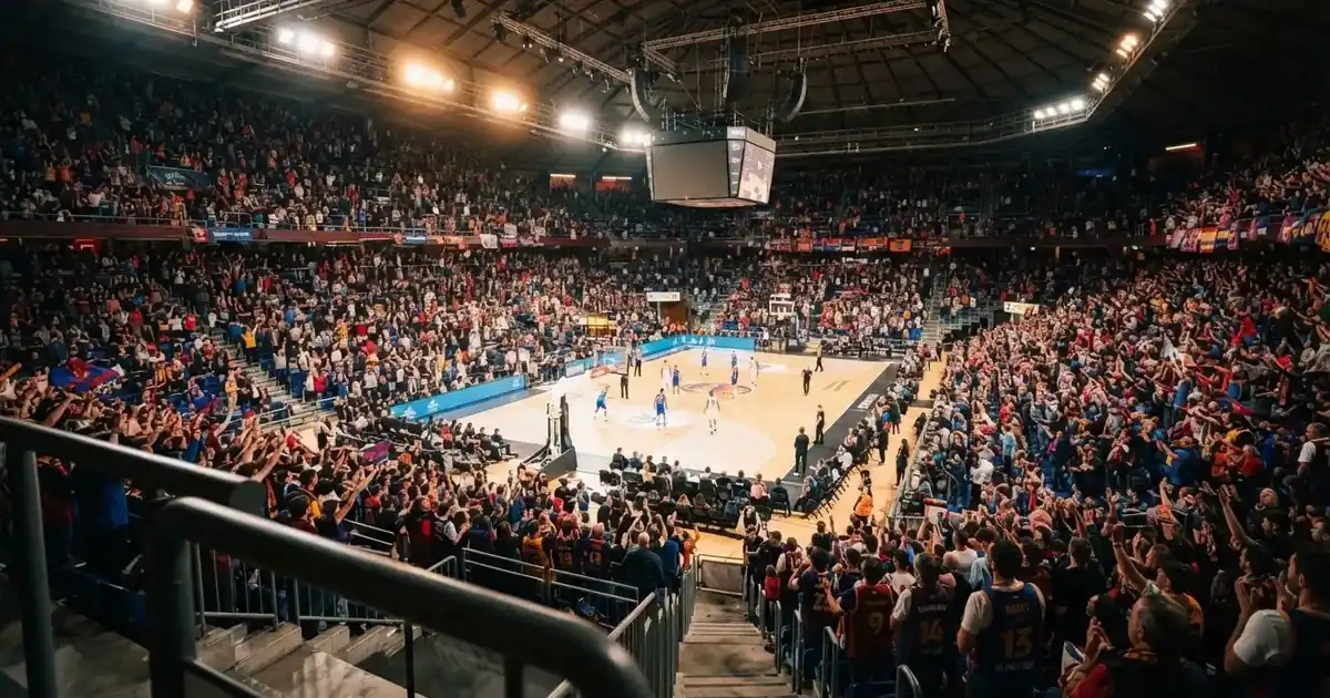 Live Betting in New Zealand 2026 — Costs, Rules, Real Options